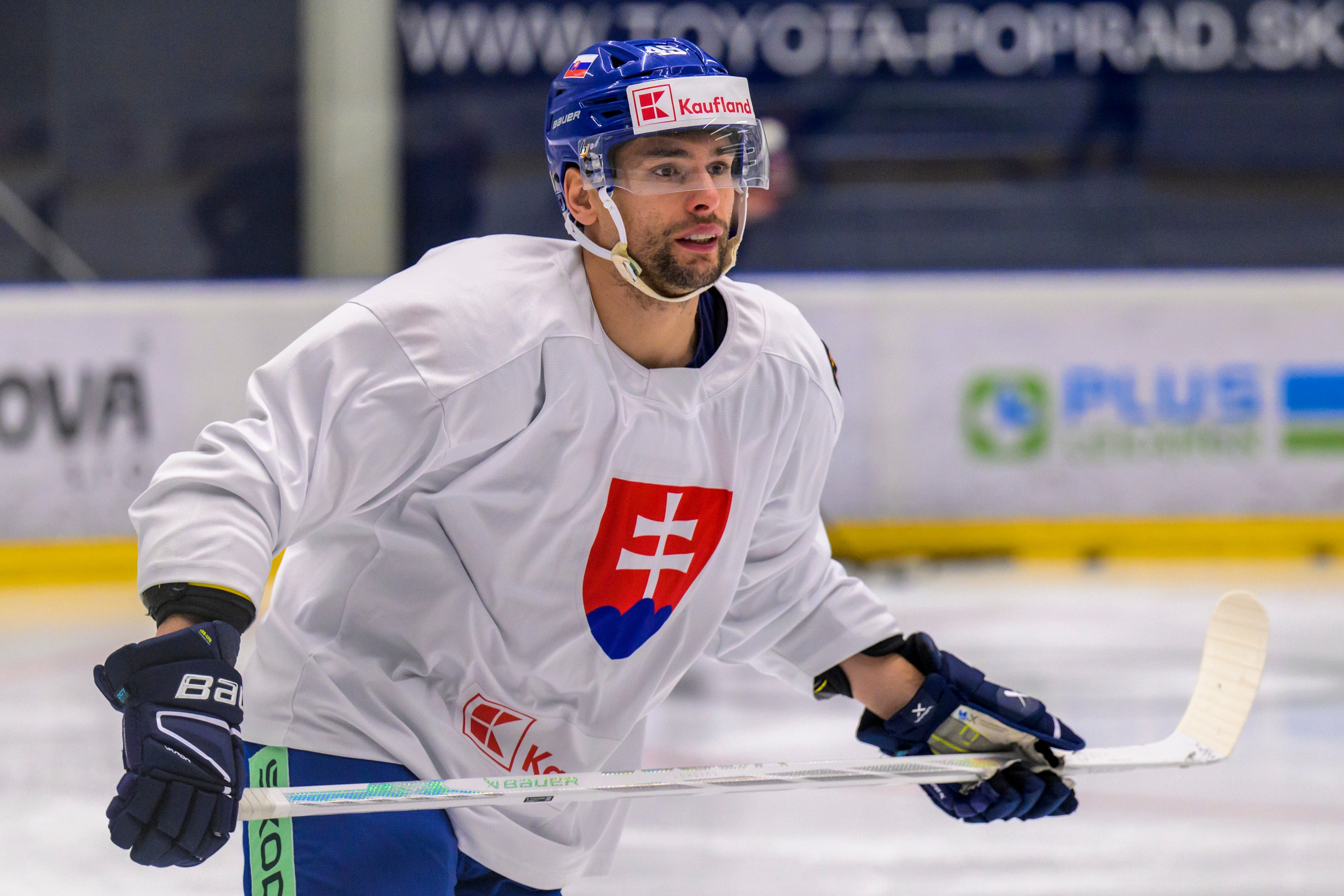 Hokejová reprezentácia